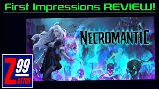 Necromantic  This VS Type Game Isnt Nearly As Bad As The Steam Reviews But Its Not Gold Either [upl. by Merwyn]