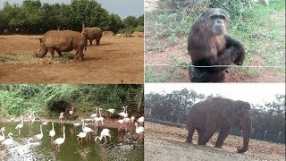 جولة في حديقة الحيوانات بالرباط Jardin Zoologique de Rabat اول vlog في القناة [upl. by Mcclenon]