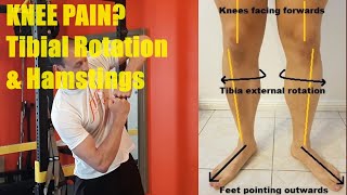 Knee Pain Tibial Rotation amp Hamstrings [upl. by Ares]