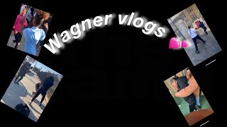 Welcome to Wagner middle school aka wagner vlogs 😂 [upl. by Yesrej]