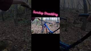 Mountain Biking in woods mtb mtbbikes [upl. by Rhodia159]