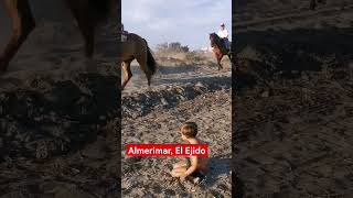 Paseo a Caballo por las playas de Almerimar en El Ejido Almería playa almería caballos [upl. by Anauqahs551]