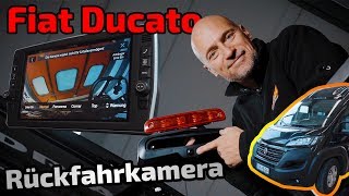 Beste Rückfahrkamera für Fiat Ducato einbauen in 10 Minuten  ARS24 [upl. by Yarised]