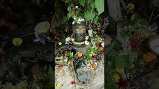 🙏 mahadev mahakal bholenath shivshankar shivsambhu pujavlog vlog viral shorts [upl. by Danette]