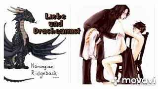 Snarry Fanfiction  Liebe und Drachenmist  Kapitel 2 amp 3 [upl. by Wilmar]