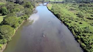 Crocodile River Costa Rica [upl. by Ethelinda88]