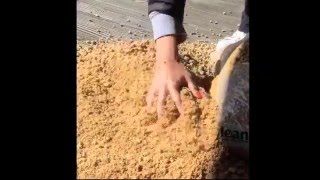 How to Prepare Wood Pellet Horse Bedding [upl. by Olecram]