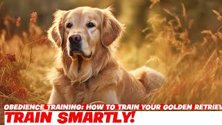 Obedience Training How to Train Your Golden Retriever [upl. by Ayocat]