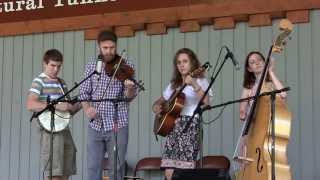 Red Wing 611 Empty Bottle String Band at Pickin In The Park Natural Tunnel SP [upl. by Linc903]