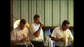 The Jerry Schneider Band Friedlichzeit Polka [upl. by Yorgerg]