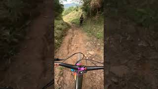 Incredible trail colombia mtbtravel [upl. by Kassandra]