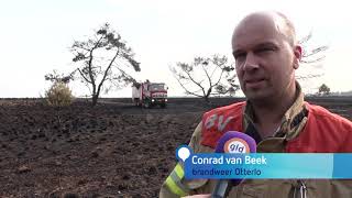 Brandweer blust ook vandaag na bij natuurbrand Hoge Veluwe [upl. by Shig]