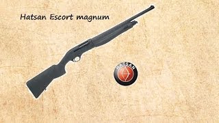 Hatsan Escort Magnum 12g Semi Auto Shotgun First Impressions [upl. by Sarge]