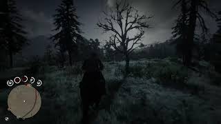 How to climb a tree in red dead redemption 2 [upl. by Adin]