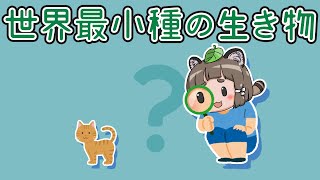 【ゆっくり解説】世界最小種の小さい生き物8選 パート1 [upl. by Yrrab]