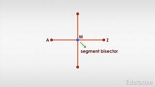 Segment Bisector  Definition amp Examples [upl. by Grefe]