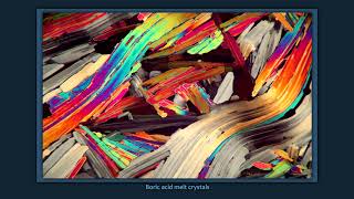 Polarized Microscopy of Chemical Crystals [upl. by Edorej]