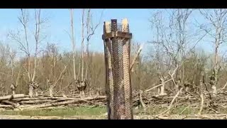 VIDÉO Marais poitevin  4000 arbres plantés après linvestissement de La Poste [upl. by Oiruam]