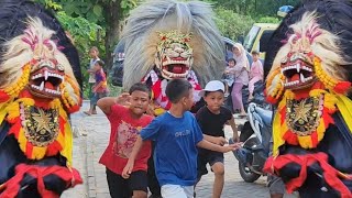 kumpulan video BARONGAN NGAMUK NGEJAR ORANG  DIKEJAR BARONGAN  AWAS LARI ADA BARONGAN [upl. by Gavrah225]