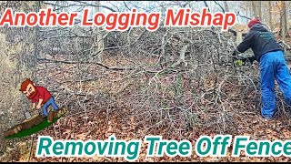 Removed Tree From Fence ANOTHER Logging Mishap BackHomeWithUs logging loggers fencerepair [upl. by Olympie]