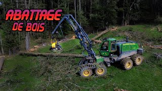 😱 Gros Chantier de bûcheronnage Avec la plus grosse abatteuse JohnDeer 🪵🪓 [upl. by Doralynne]