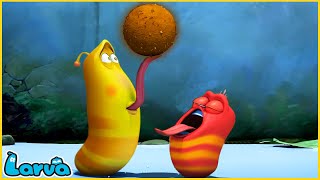 LARVA  DELICIOUS BAIT  CARTOON MOVIE FOR LIFE  THE BEST OF CARTOON HILARIOUS CARTOON COMPILATION [upl. by Zakaria]