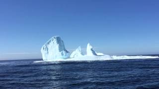 Iceberg Man and tourists view Iceberg foundering off Twillingate Newfoundland amp Labrador [upl. by Snoddy]