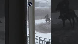 Skiers Pulled by Horses Showcase Their Skijoring Skills [upl. by Anyotal13]