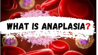 What is Anaplasia  Anaplasia [upl. by Edmonda]