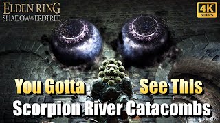 Shadow Of The Erdtree  Scorpion River Catacombs  Complete Walkthrough [upl. by Niryt]