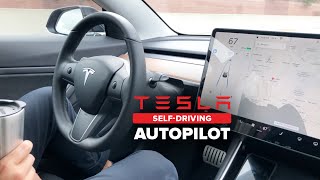 Tesla Drives Itself Prank On Grandmom Summon Mode [upl. by Kcirdneh]