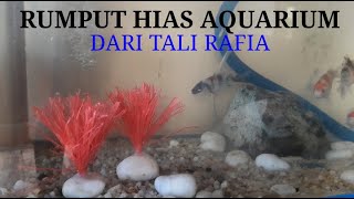 Menghias Aquarium Tanpa Modal  Membuat Rumput Hias Aquarium [upl. by Umont435]