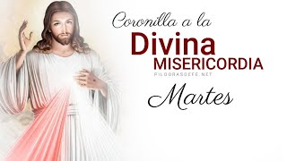 Coronilla de la Divina Misericordia Martes 2 enero 2024  Píldoras de fe [upl. by Kegan]