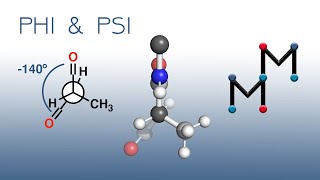 Understanding PHI and PSI Angles Ramachandran Plots amp Newman Projections [upl. by Ueik]