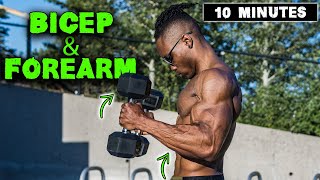 10 MINUTE LIGHTWEIGHT DUMBBELL BICEP amp FOREARM WORKOUT [upl. by Ahsieki141]