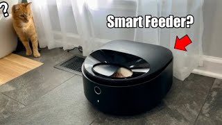 This Petlibro Polar Smart Wet Food Feeder Is Pretty Crazy… [upl. by Lohrman126]