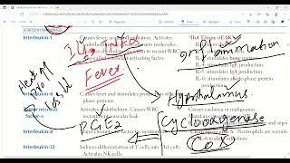 Important cytokines part1  immune response Immunology first Aid lectures lec15 drjamillectures [upl. by Gitlow449]