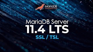 MariaDB 114 SSLTSL self signed server certificates [upl. by Shrier]