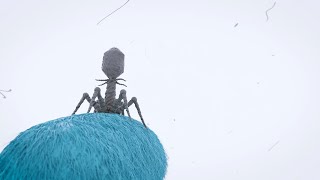 3D science animation  Bacteriophages  phages [upl. by Yolanda]