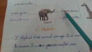 وضعية ادماجية عن الفيل لغة فرنسية سنة خامسة ابتدائي léléphant [upl. by Vassily]