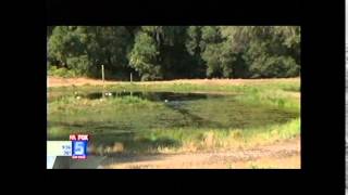 Retriever Training on Fox 5 San Diego  Segment 1 [upl. by Van]