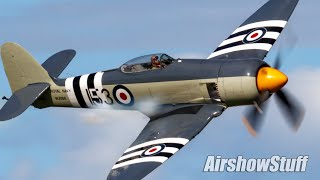 Hawker Sea Fury Aerobatics and Low Flybys  EAA AirVenture Oshkosh 2022 [upl. by Aliled]