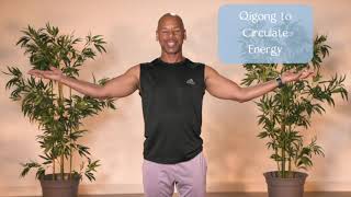 Qigong to Circulate Energy [upl. by Sholeen]