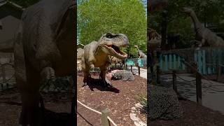 Look who is back dianosaur wildanimals themepark ytshorts [upl. by Sebastiano]