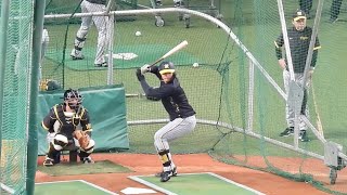 【森下翔太】岡田監督が見守る中での打撃練習。いざ決戦へ。 115対バファローズ戦 [upl. by Marianne455]