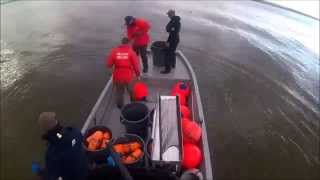 Paddlefish Netting on Kaw Lake November 2015 [upl. by Anauq]