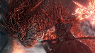 Sekiro Demon of Hatred Mastered [upl. by Howund790]