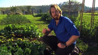 River Cottage Australia S1 Ep5 [upl. by Arikat]