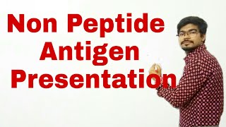 Presentation of non peptide antigens [upl. by Ahsinod]