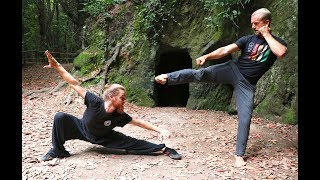 Tai Chi Fighting  Tai Chi Combat  5 Best Fight MovesAwesome [upl. by Lednyc]